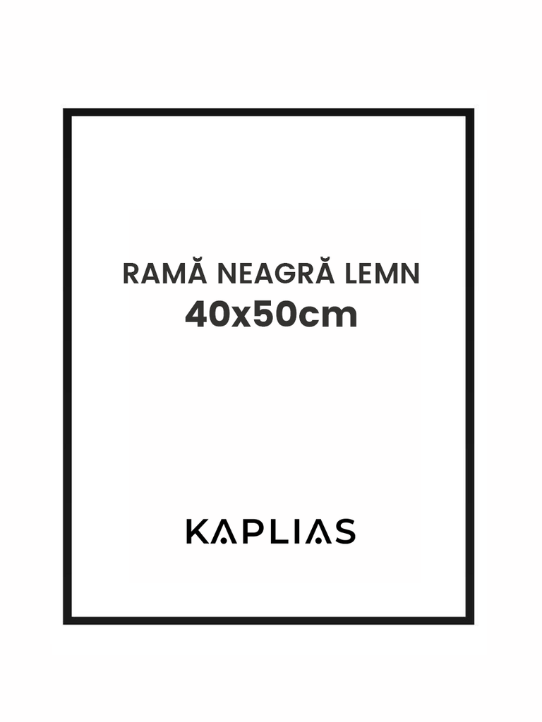 Rama neagra Stockholm 40x50cm
