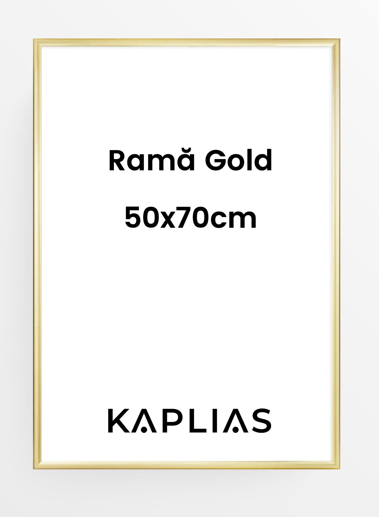 Rama Gold auriu 50x70cm